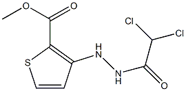 methyl 3-[2-(2,2-dichloroacetyl)hydrazino]thiophene-2-carboxylate Struktur