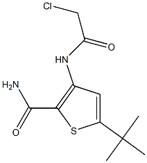 5-(tert-butyl)-3-[(2-chloroacetyl)amino]thiophene-2-carboxamide Struktur