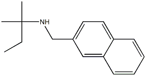 (2-methylbutan-2-yl)(naphthalen-2-ylmethyl)amine Struktur