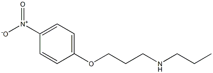 [3-(4-nitrophenoxy)propyl](propyl)amine Struktur