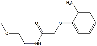 2-(2-aminophenoxy)-N-(2-methoxyethyl)acetamide Struktur