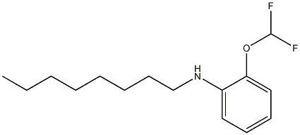 2-(difluoromethoxy)-N-octylaniline Struktur