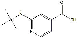 2-(tert-butylamino)pyridine-4-carboxylic acid Struktur