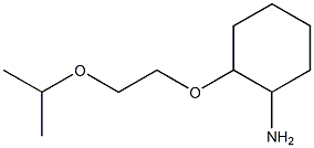 2-[2-(propan-2-yloxy)ethoxy]cyclohexan-1-amine Struktur