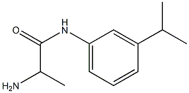 2-amino-N-[3-(propan-2-yl)phenyl]propanamide Struktur