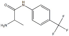 2-amino-N-[4-(trifluoromethyl)phenyl]propanamide Struktur