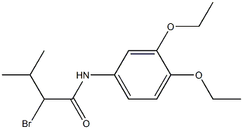 2-bromo-N-(3,4-diethoxyphenyl)-3-methylbutanamide Struktur