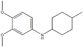 3,4-dimethoxy-N-(4-methylcyclohexyl)aniline Struktur