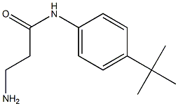 3-amino-N-(4-tert-butylphenyl)propanamide Struktur