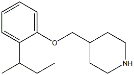 4-[2-(butan-2-yl)phenoxymethyl]piperidine Struktur