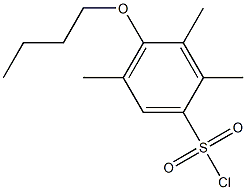 4-butoxy-2,3,5-trimethylbenzene-1-sulfonyl chloride Struktur