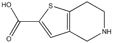 4H,5H,6H,7H-thieno[3,2-c]pyridine-2-carboxylic acid Struktur