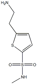 5-(2-aminoethyl)-N-methylthiophene-2-sulfonamide Struktur