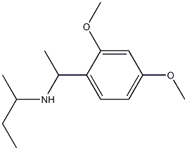 butan-2-yl[1-(2,4-dimethoxyphenyl)ethyl]amine Struktur