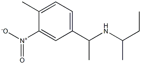 butan-2-yl[1-(4-methyl-3-nitrophenyl)ethyl]amine Struktur