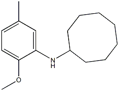 N-(2-methoxy-5-methylphenyl)cyclooctanamine Struktur