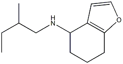 N-(2-methylbutyl)-4,5,6,7-tetrahydro-1-benzofuran-4-amine Struktur