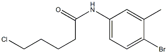 N-(4-bromo-3-methylphenyl)-5-chloropentanamide Struktur