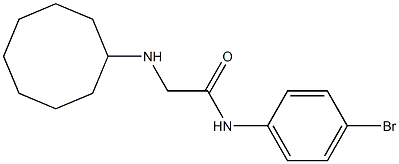 N-(4-bromophenyl)-2-(cyclooctylamino)acetamide Struktur