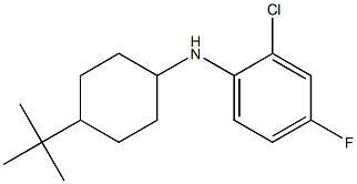 N-(4-tert-butylcyclohexyl)-2-chloro-4-fluoroaniline Struktur