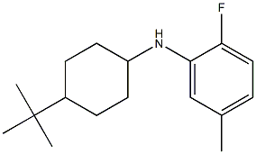 N-(4-tert-butylcyclohexyl)-2-fluoro-5-methylaniline Struktur