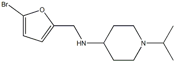 N-[(5-bromofuran-2-yl)methyl]-1-(propan-2-yl)piperidin-4-amine Struktur