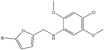 N-[(5-bromofuran-2-yl)methyl]-4-chloro-2,5-dimethoxyaniline Struktur