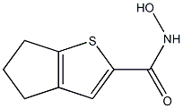 N-hydroxy-5,6-dihydro-4H-cyclopenta[b]thiophene-2-carboxamide Struktur