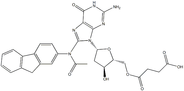 Butanedioic acid 1-[8-[acetyl(9H-fluoren-2-yl)amino]-2'-deoxy-5'-guanosyl] ester Struktur