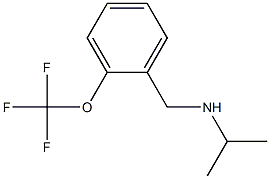 propan-2-yl({[2-(trifluoromethoxy)phenyl]methyl})amine Struktur