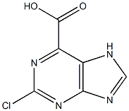 2-chloro-7H-purine-6-carboxylic acid Structure