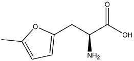 (2S)-2-Amino-3-(5-Methylfuran-2-yl)Propanoic Acid Struktur