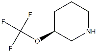 (S)-3-(trifluoromethoxy)piperidine Struktur