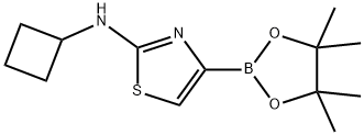 2-CYCLOBUTYLAMINOTHIAZOLE-4-BORONIC ACID PINACOL ESTER Struktur