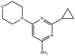 4-Amino-2-cyclopropyl-6-(morpholino)pyrimidine Struktur