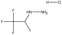 (1,1,1-trifluoropropan-2-yl)hydrazine hydrochloride Struktur