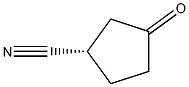 (S)-3-oxocyclopentane-1-carbonitrile Struktur