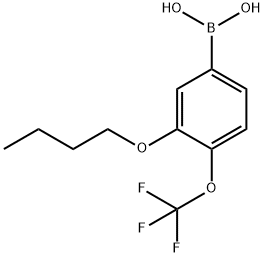 3-Butoxy-4-(trifluoromethoxy)phenylboronic acid Struktur