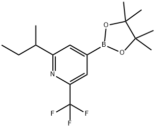 2-(sec-Butyl)-6-trifluoromethylpyridine-4-boronic acid pinacol ester Struktur