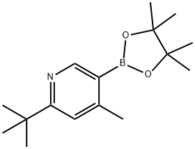 4-Methyl-6-(tert-butyl)pyridine-3-boronic acid pinacol ester Struktur