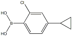 (2-chloro-4-cyclopropylphenyl)boronic acid Struktur