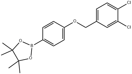 1,3,2-Dioxaborolane, 2-[4-[(3,4-dichlorophenyl)methoxy]phenyl]-4,4,5,5-tetramethyl- Struktur