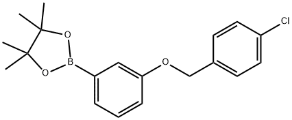 1,3,2-Dioxaborolane, 2-[3-[(4-chlorophenyl)methoxy]phenyl]-4,4,5,5-tetramethyl- Struktur