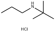 tert-butyl(propyl)amine hydrochloride Struktur