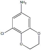 8-chloro-2,3-dihydro-1,4-benzodioxin-6-amine Struktur