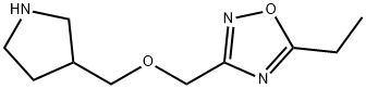 5-Ethyl-3-(pyrrolidin-3-ylmethoxymethyl)-[1,2,4]oxadiazole Struktur