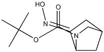 TERT-BUTYL 6-(HYDROXYIMINO)-2-AZABICYCLO[2.2.1]HEPTANE-2-CARBOXYLATE Struktur