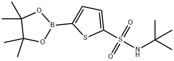 N-tert-Butyl-5-(4,4,5,5-tetramethyl-1,3,2-dioxaborolan-2-yl)thiophene-2-sulfonamide Struktur