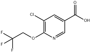 3-Pyridinecarboxylic acid, 5-chloro-6-(2,2,2-trifluoroethoxy)- Struktur