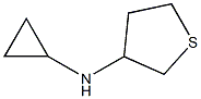 N-Cyclopropyltetrahydrothiophen-3-amine Struktur